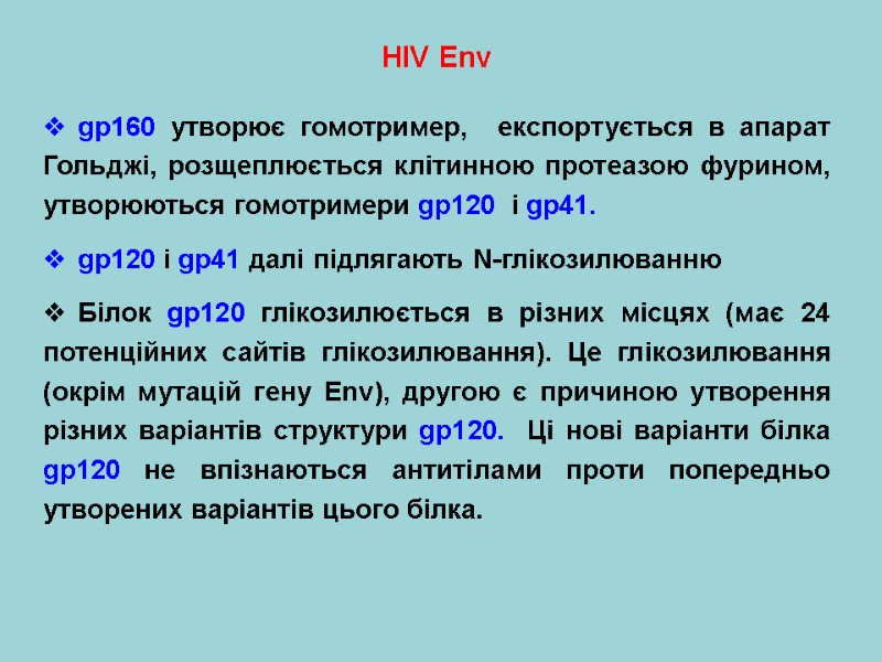 HIV Env  gp160 утворює гомотример,  експортується в апарат Гольджі, розщеплюється клітинною протеазою